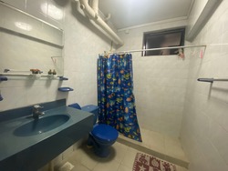 Blk 288A Bukit Batok Street 25 (Bukit Batok), HDB Executive #218073741